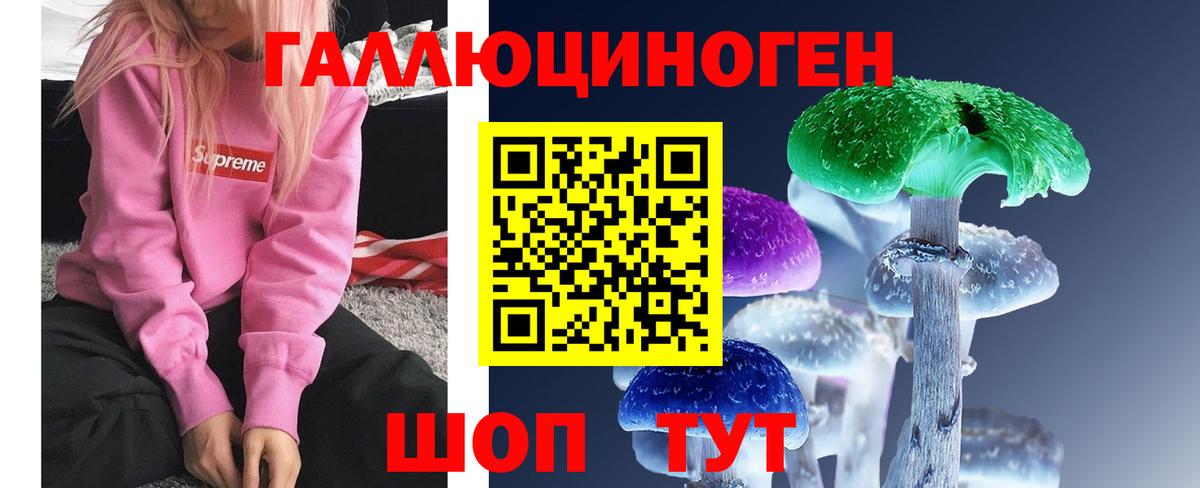 Псилоцибиновые грибы прущие грибы Новодвинск